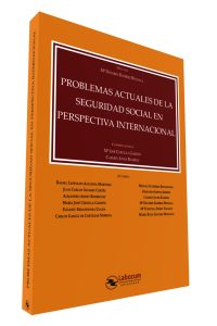 Problemas actuales de la Seguridad Social en perspectiva Internacional