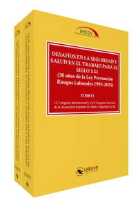 Desafíos en la Seguridad y Salud en el Trabajo para el siglo XXI (30 años de la Ley Prevención Riesgos Laborales 1995-2025)